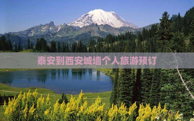 泰安到西安城墙个人旅游预订