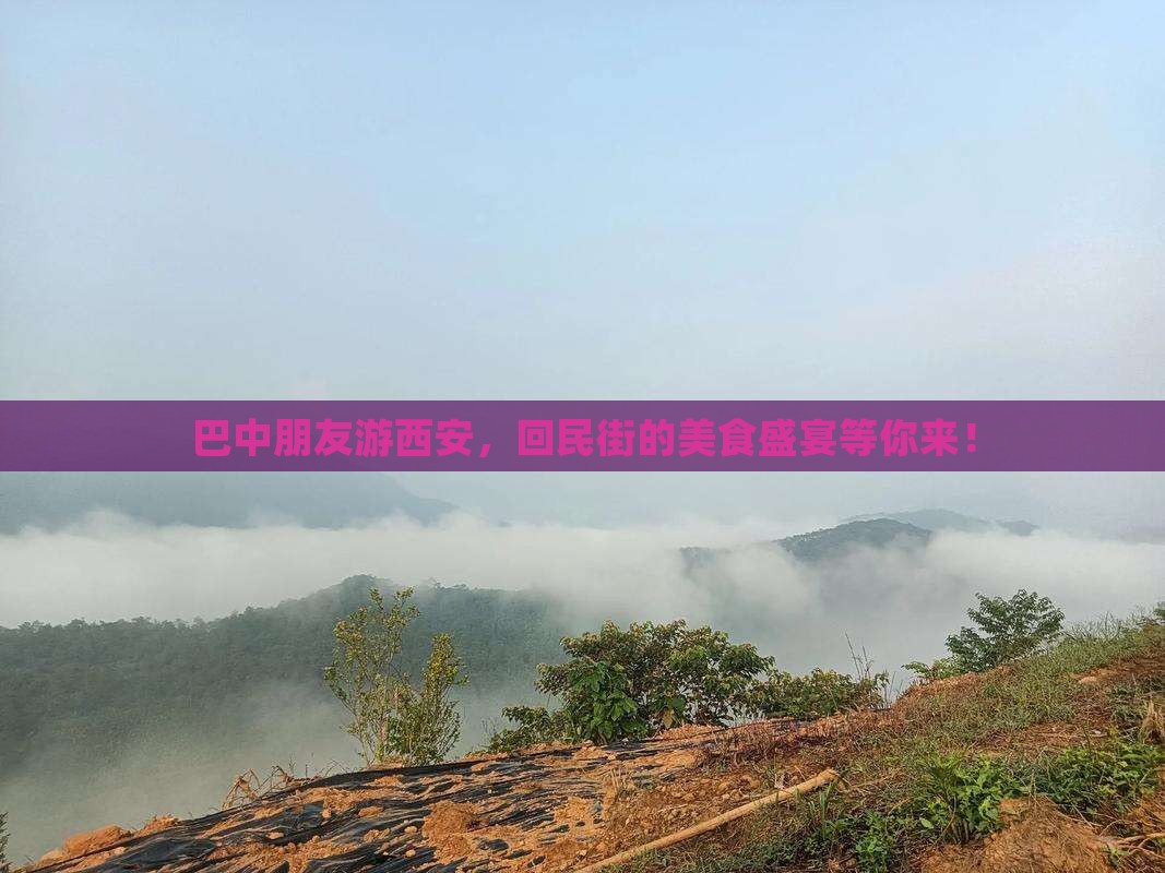 巴中朋友游西安，回民街的美食盛宴等你来！