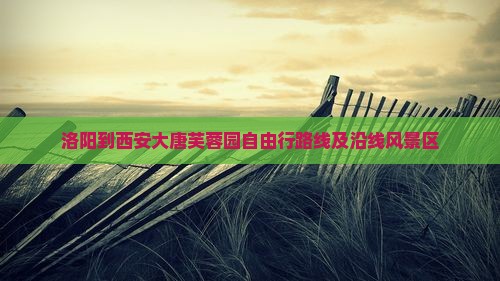 洛阳到西安大唐芙蓉园自由行路线及沿线风景区