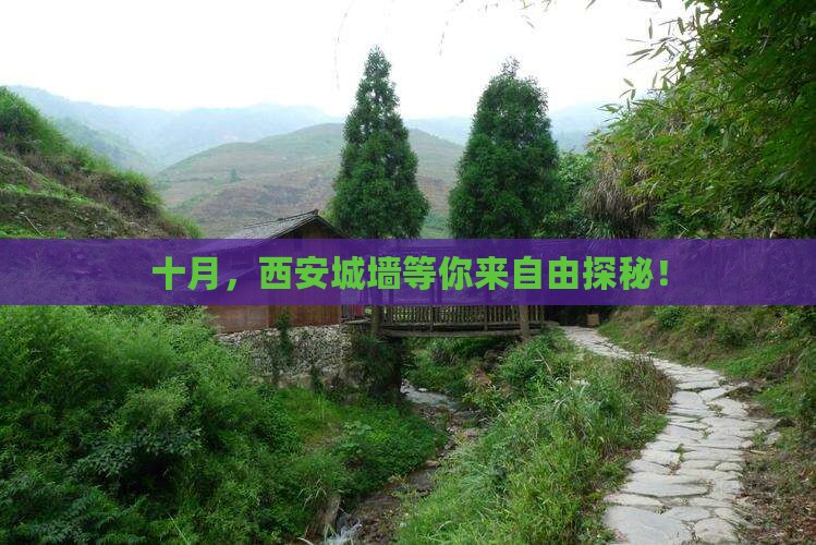 十月，西安城墙等你来自由探秘！