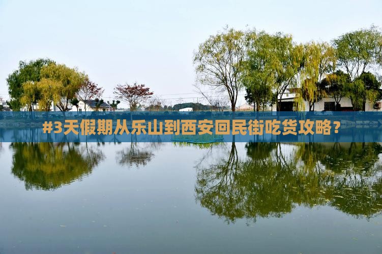 #3天假期从乐山到西安回民街吃货攻略？