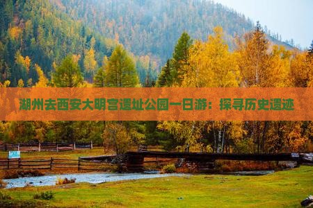 湖州去西安大明宫遗址公园一日游：探寻历史遗迹