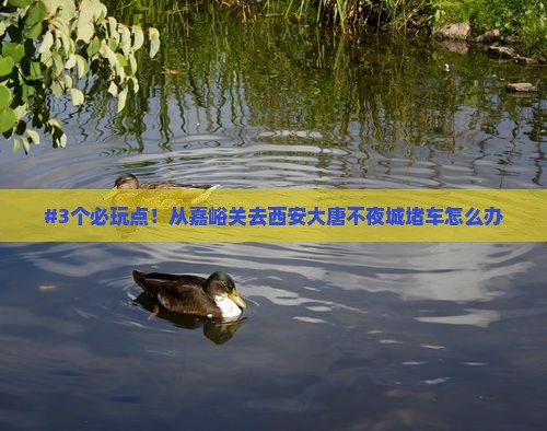#3个必玩点！从嘉峪关去西安大唐不夜城堵车怎么办