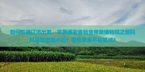 如何在通辽市出发，享受西安秦始皇帝陵博物院之旅同时品尝地道小吃？哪些美食不容错过？