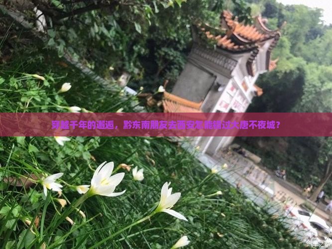 穿越千年的邂逅，黔东南朋友去西安怎能错过大唐不夜城？