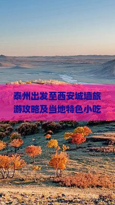 泰州出发至西安城墙旅游攻略及当地特色小吃推荐指南