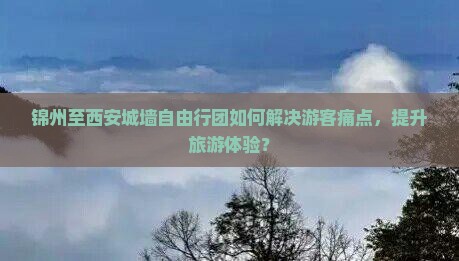 锦州至西安城墙自由行团如何解决游客痛点，提升旅游体验？