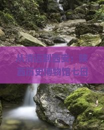 从清远到西安：陕西历史博物馆七日游，这场文化之旅究竟藏着什么秘密？