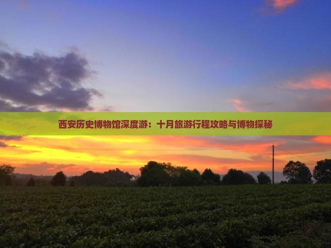 西安历史博物馆深度游：十月旅游行程攻略与博物探秘