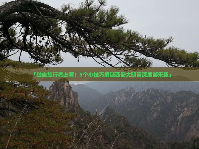 「独自旅行者必看！5个小技巧解锁西安大明宫深度游乐趣」
