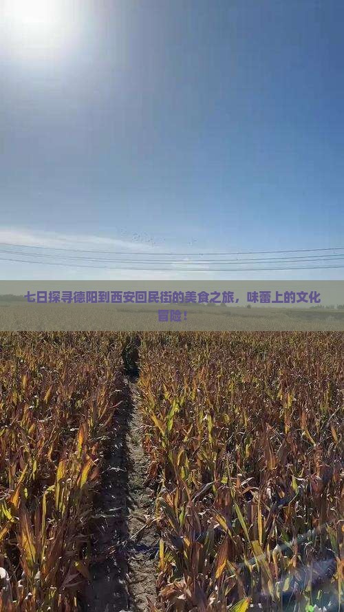 七日探寻德阳到西安回民街的美食之旅，味蕾上的文化冒险！