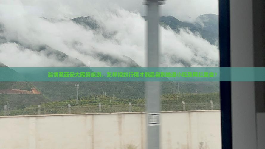 淄博至西安大雁塔旅游，怎样规划行程才能品尝到地道小吃及网红美食？