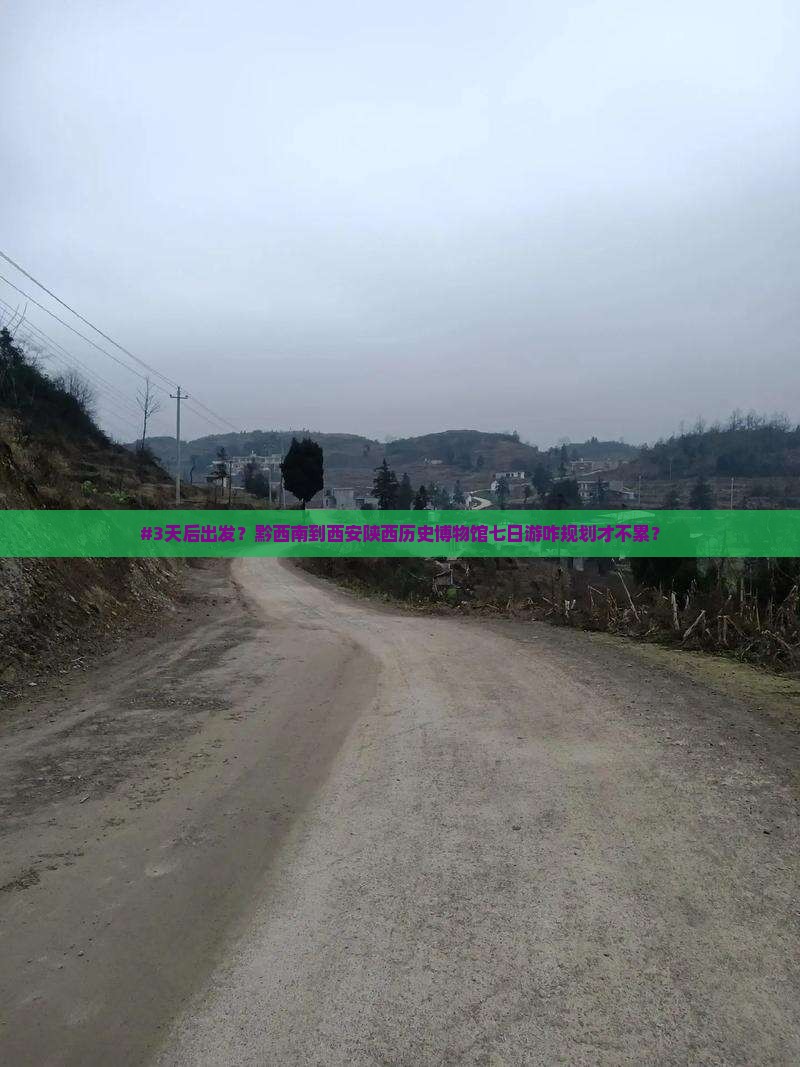 #3天后出发？黔西南到西安陕西历史博物馆七日游咋规划才不累？
