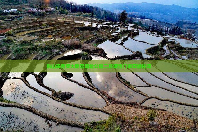 乐山去西安大明宫遗址公园二日游含门票交通住吃