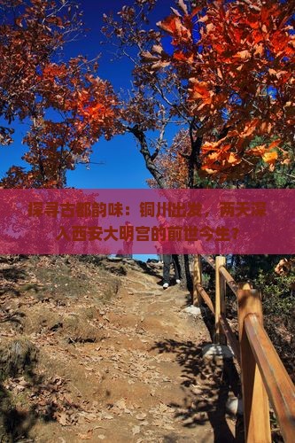 探寻古都韵味：铜川出发，两天深入西安大明宫的前世今生？