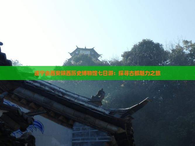 遂宁去西安陕西历史博物馆七日游：探寻古都魅力之旅