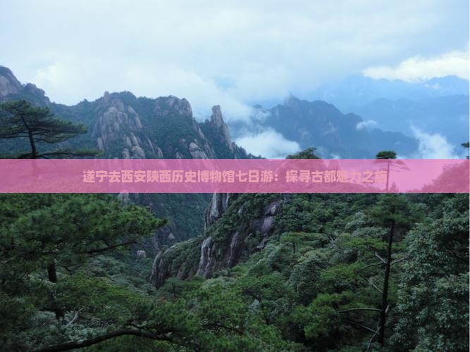遂宁去西安陕西历史博物馆七日游：探寻古都魅力之旅