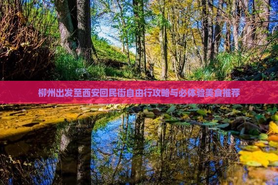 柳州出发至西安回民街自由行攻略与必体验美食推荐