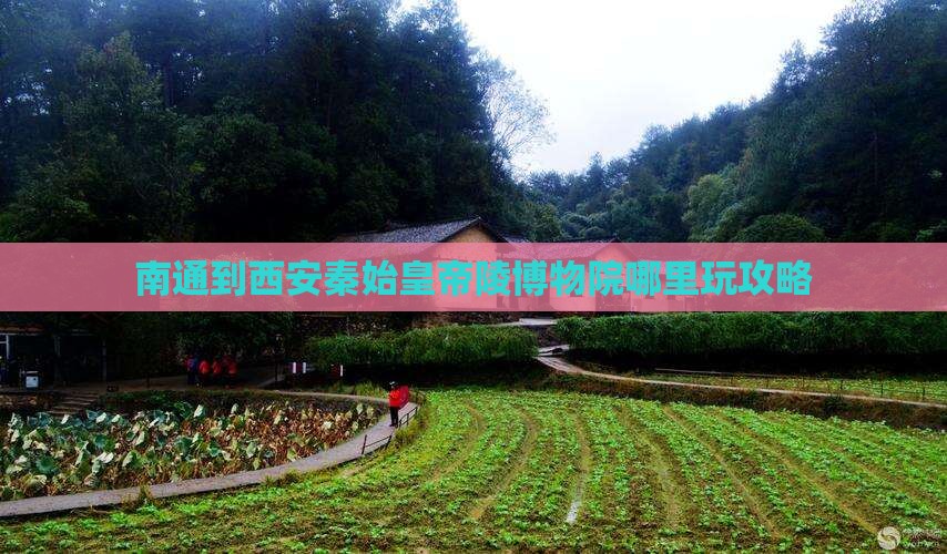 南通到西安秦始皇帝陵博物院哪里玩攻略