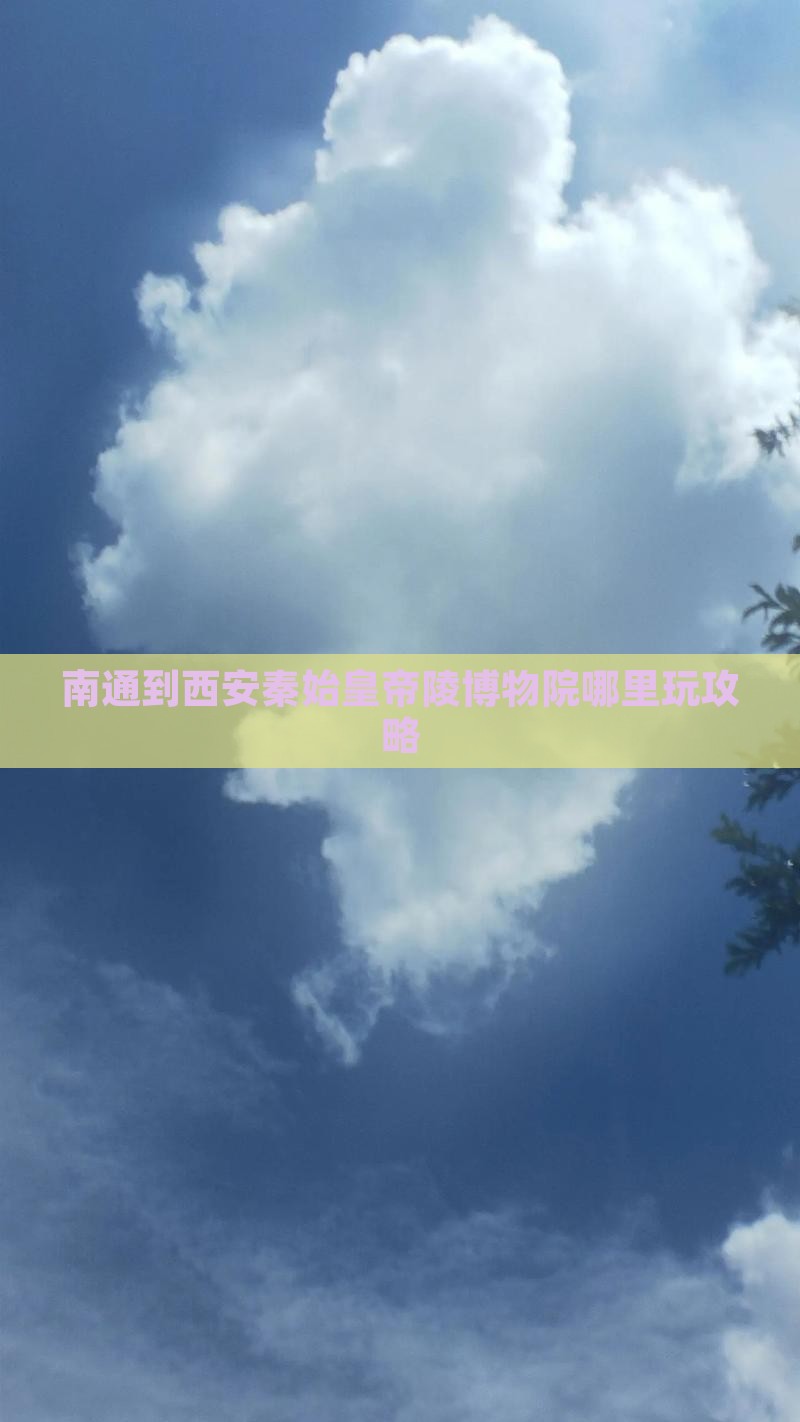 南通到西安秦始皇帝陵博物院哪里玩攻略