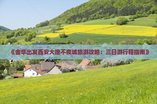 《金华出发西安大唐不夜城旅游攻略：三日游行程指南》