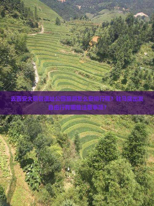 去西安大明宫遗址公园旅游怎么安排行程?驻马店出发自由行有哪些注意事项? 去西安大明宫遗址公园旅游怎么安排行程?驻马店出发自由行有哪些注意事项?