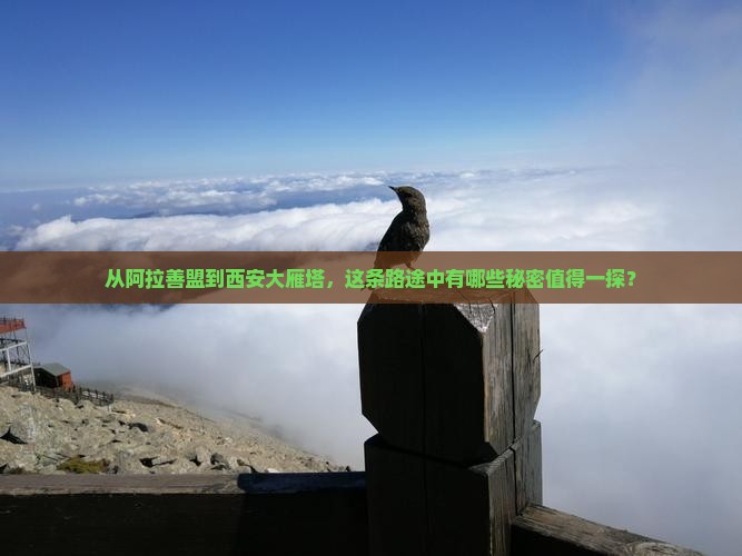 从阿拉善盟到西安大雁塔，这条路途中有哪些秘密值得一探？