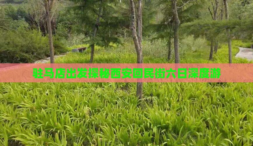 驻马店出发探秘西安回民街六日深度游