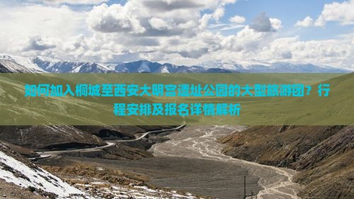 如何加入桐城至西安大明宫遗址公园的大型旅游团？行程安排及报名详情解析