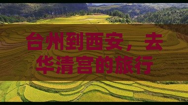 台州到西安，去华清宫的旅行团有啥好玩的？