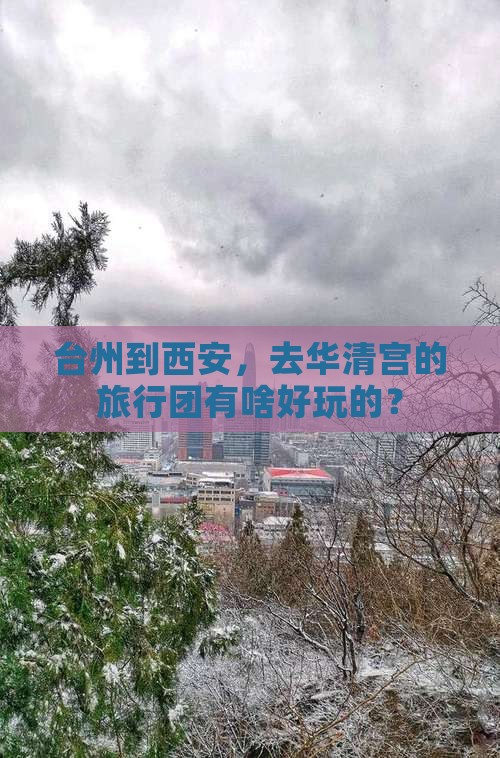 台州到西安，去华清宫的旅行团有啥好玩的？