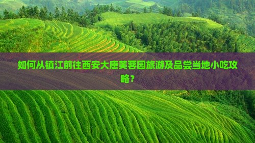 如何从镇江前往西安大唐芙蓉园旅游及品尝当地小吃攻略？