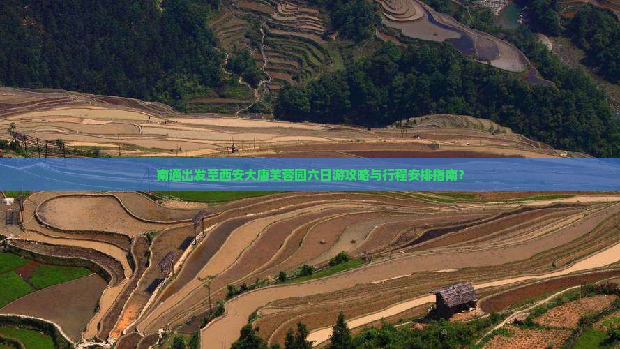 南通出发至西安大唐芙蓉园六日游攻略与行程安排指南？