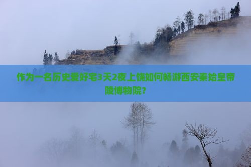 作为一名历史爱好宅3天2夜上饶如何畅游西安秦始皇帝陵博物院？