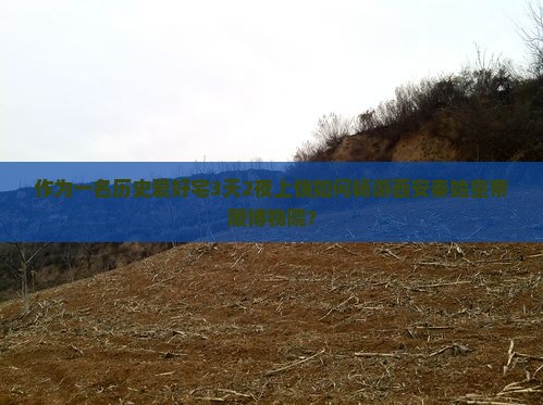 作为一名历史爱好宅3天2夜上饶如何畅游西安秦始皇帝陵博物院？