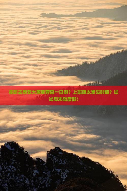 霍邱去西安大唐芙蓉园一日游？上班族太累没时间？试试周末微度假！