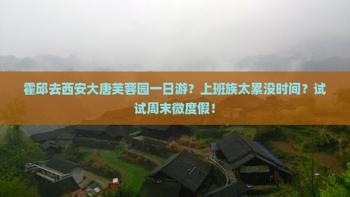霍邱去西安大唐芙蓉园一日游？上班族太累没时间？试试周末微度假！