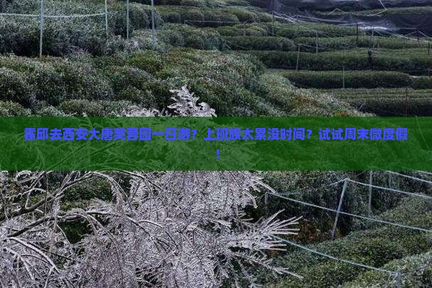 霍邱去西安大唐芙蓉园一日游？上班族太累没时间？试试周末微度假！