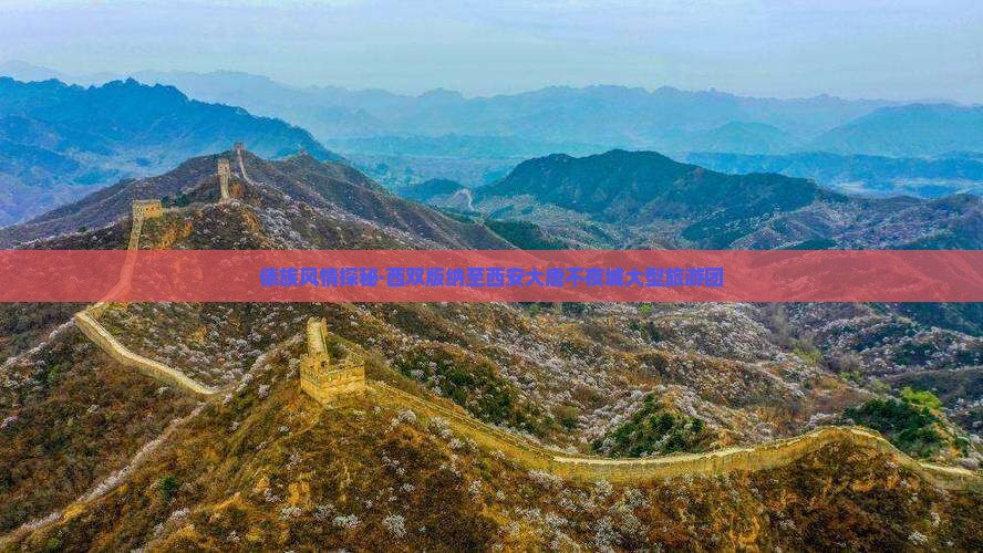 傣族风情探秘·西双版纳至西安大唐不夜城大型旅游团