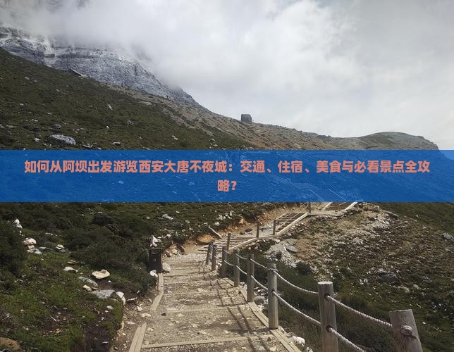 如何从阿坝出发游览西安大唐不夜城：交通、住宿、美食与必看景点全攻略？
