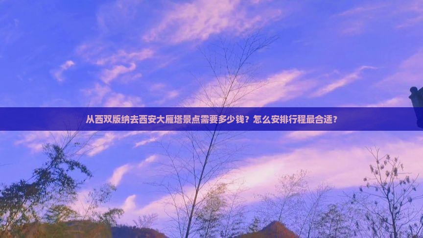 从西双版纳去西安大雁塔景点需要多少钱？怎么安排行程最合适？
