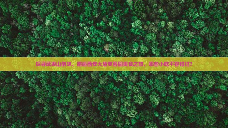 探寻武夷山韵味，邂逅西安大唐芙蓉园美食之旅，哪些小吃不容错过？