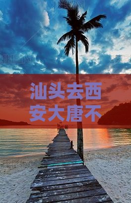 汕头去西安大唐不夜城门票价格详情