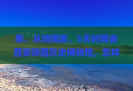 亲，从哈闽发，5天时间去西安陕西历史博物馆，怎样选择旅行社最靠谱？