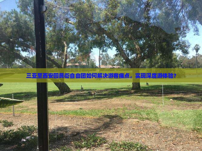 三亚至西安回民街自由团如何解决游客痛点，实现深度游体验？