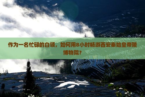 作为一名忙碌的白领，如何用8小时畅游西安秦始皇帝陵博物院？
