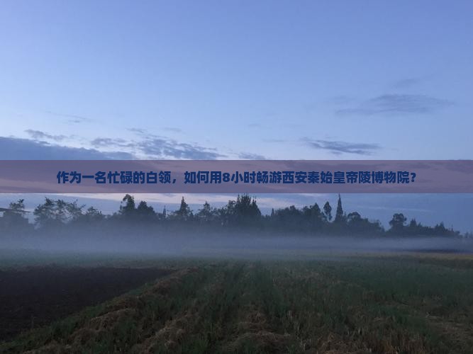 作为一名忙碌的白领，如何用8小时畅游西安秦始皇帝陵博物院？