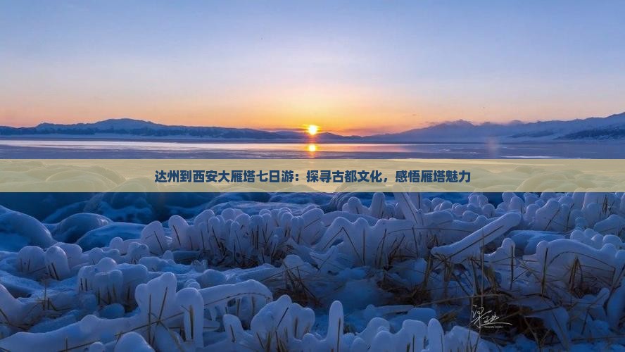 达州到西安大雁塔七日游：探寻古都文化，感悟雁塔魅力