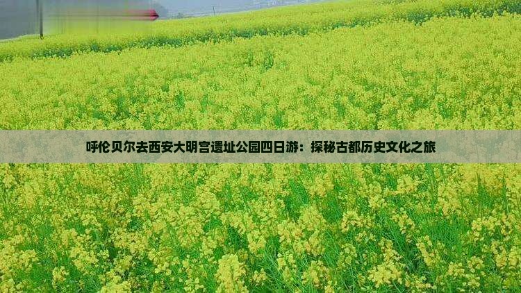 呼伦贝尔去西安大明宫遗址公园四日游：探秘古都历史文化之旅