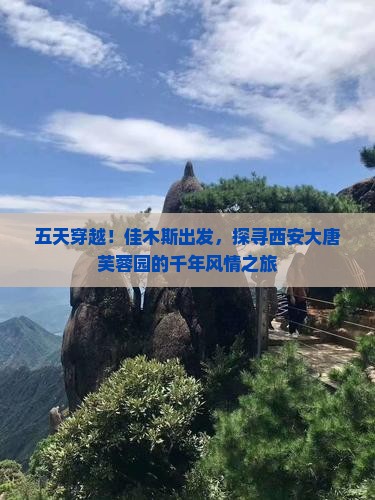 五天穿越！佳木斯出发，探寻西安大唐芙蓉园的千年风情之旅